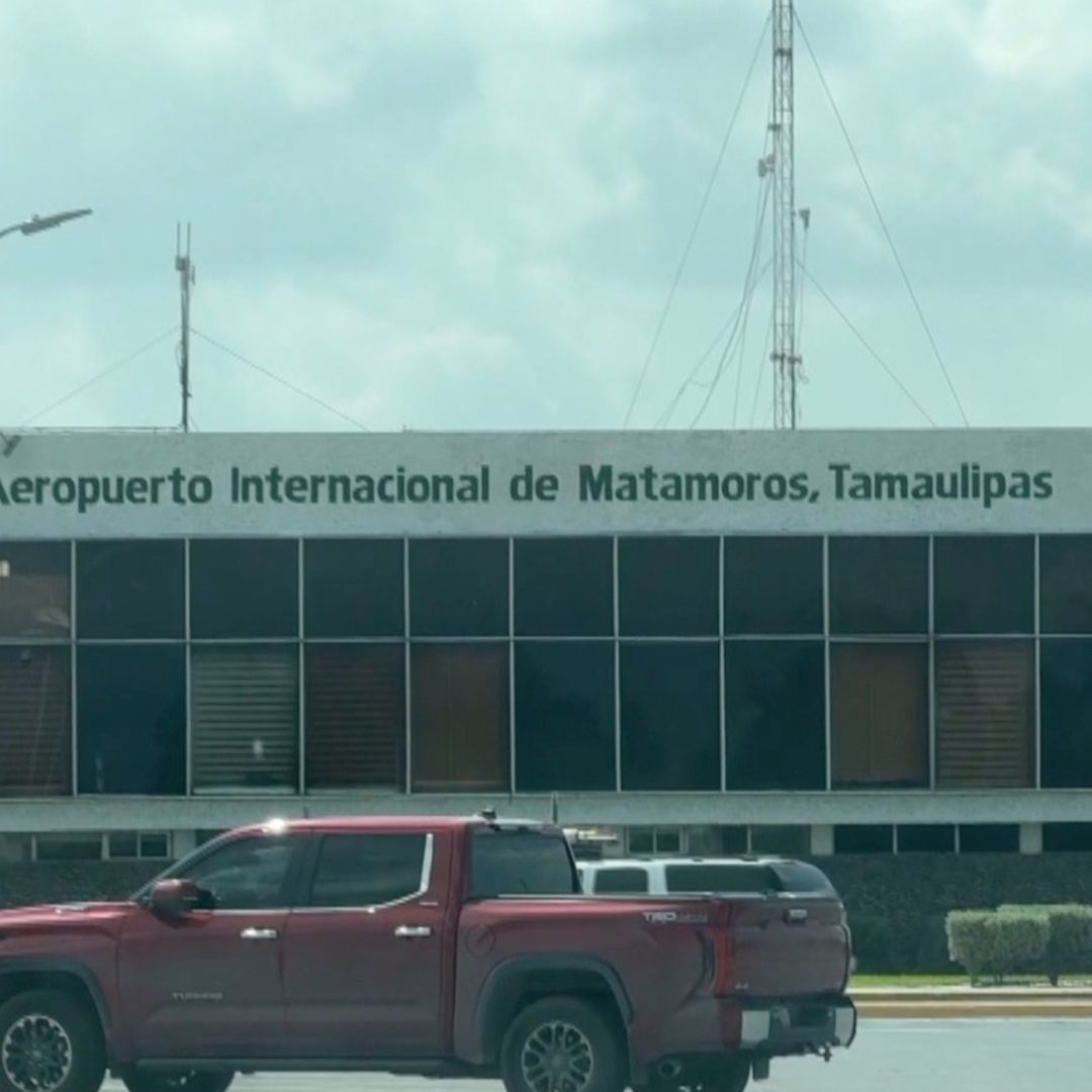 Aseguran 350 Tortugas en el Aeropuerto de Matamoros; Investigan Presunto Tráfico Ilegal